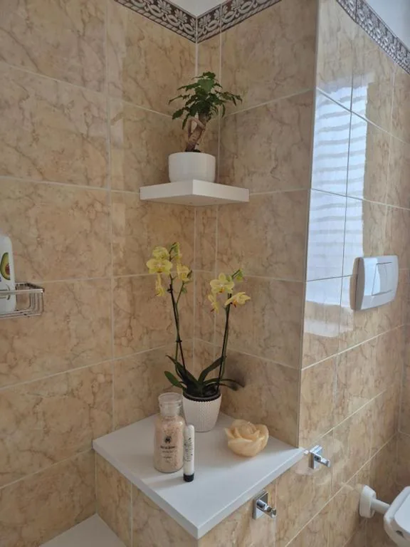 Olive tree’s house — foto 8