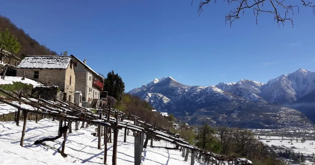 Ossola dal Monte – Affittacamere — foto 7
