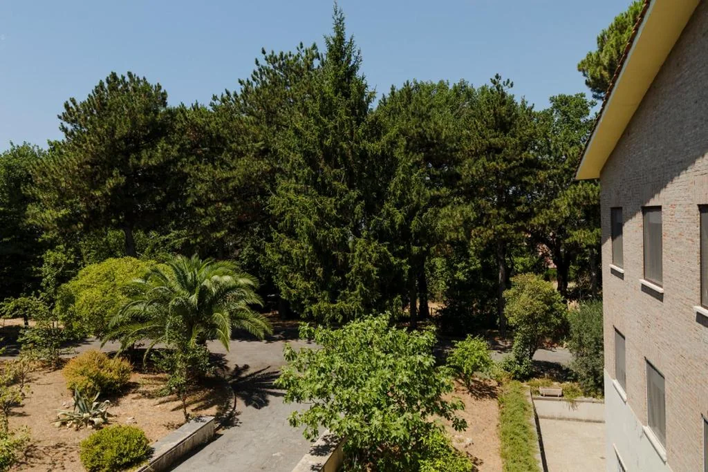 OSTELLO del Lago — foto 4