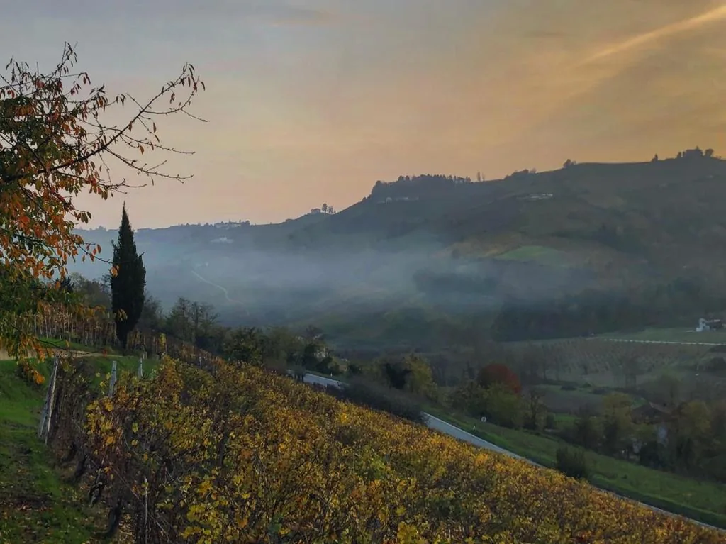 Panoramic Villa Garassino – country rooms and fine restaurant — foto 8