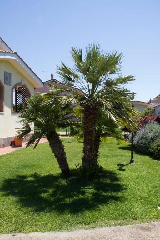 Paoline’s suite in villa — foto 5