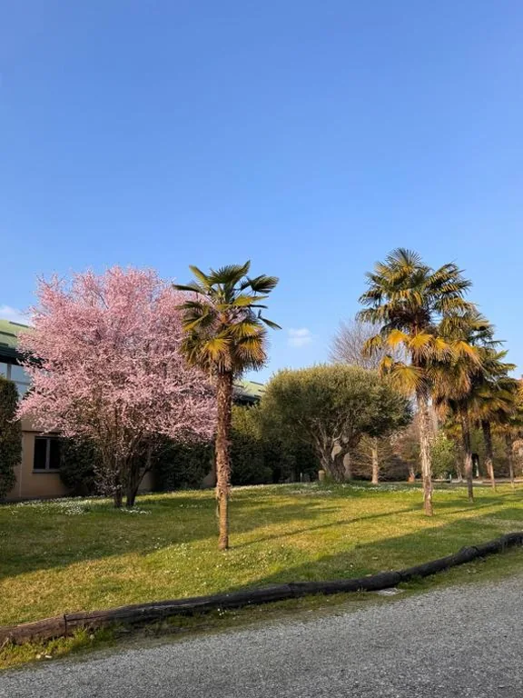 Parco Hotel Sassi — foto 5