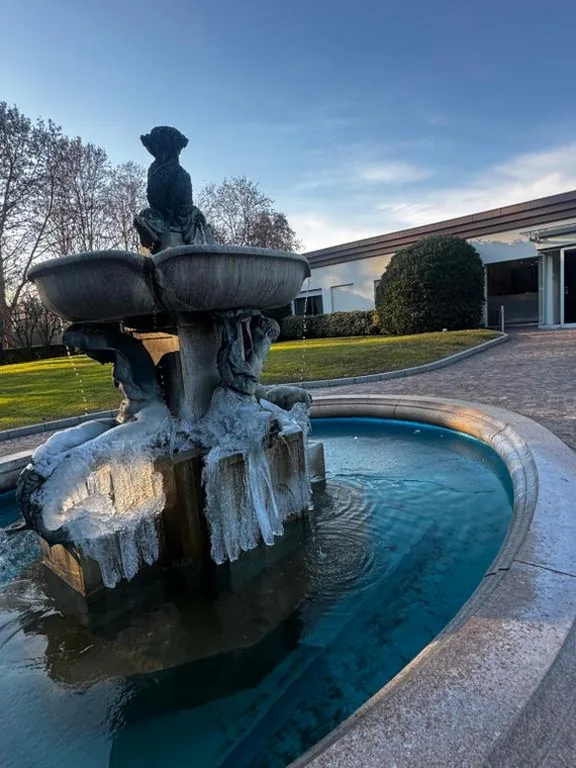 Parco Hotel Sassi — foto 6