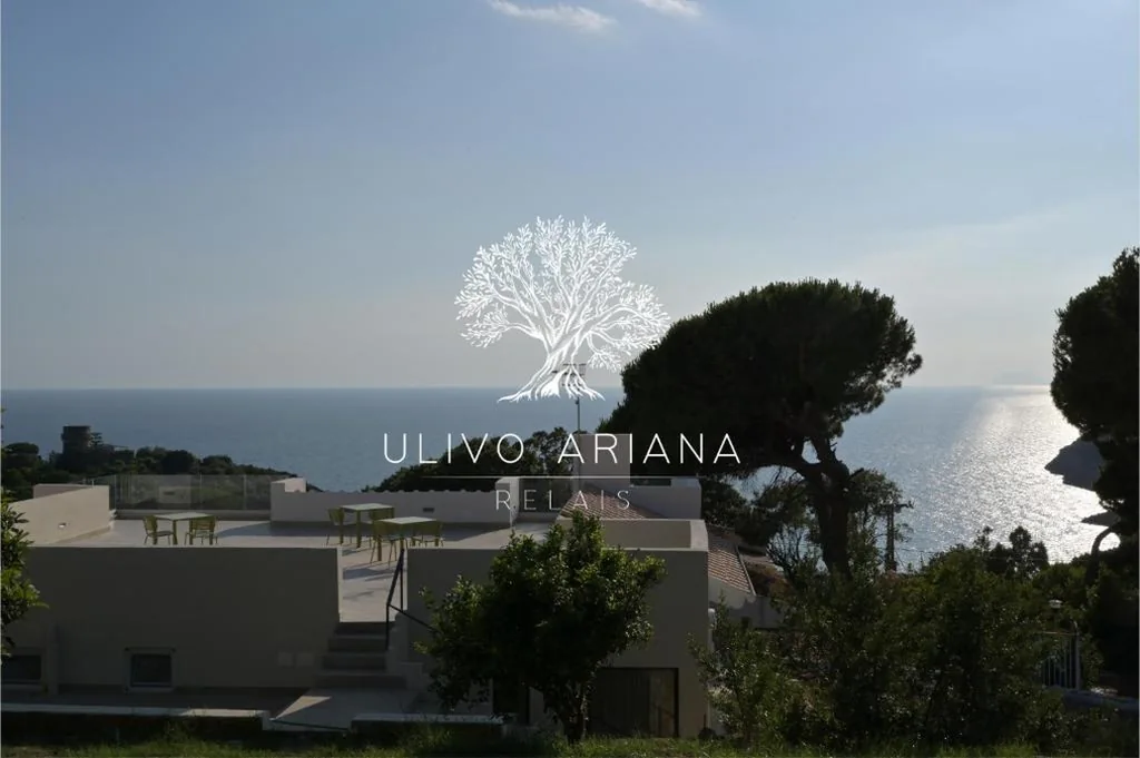Relais Ulivo Ariana