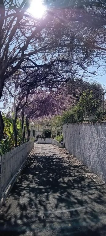 Residenza Al Borgo — foto 6