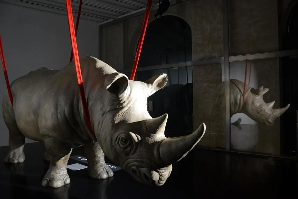 Rhinoceros — foto 6
