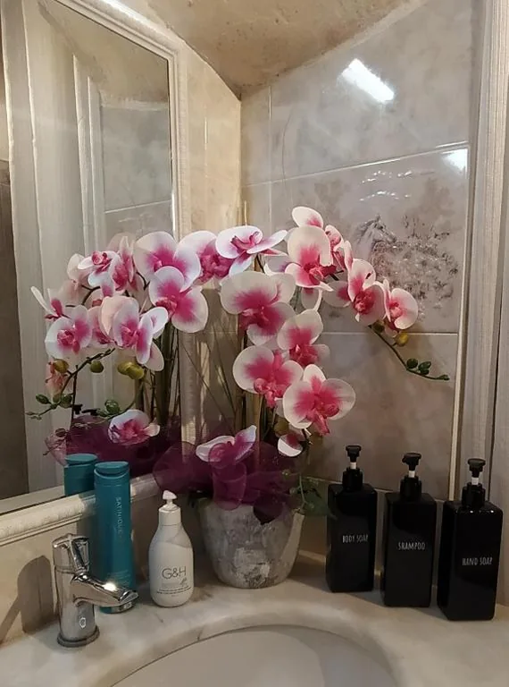 Ribero’s Home – Center – Quite Zone — foto 8
