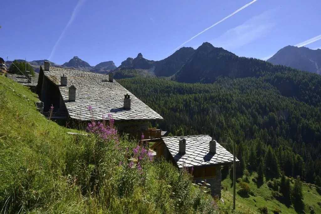 Rifugio Vieux Crest — foto 8