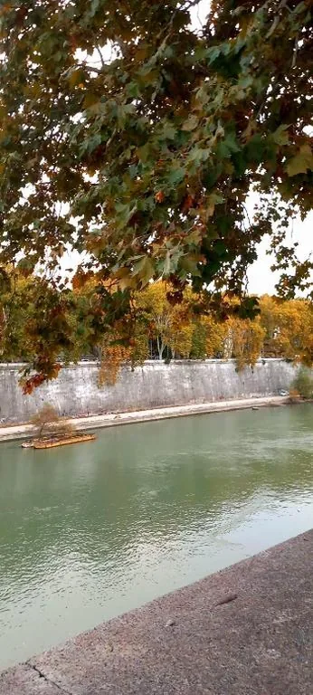 RiversideMellini44 — foto 3