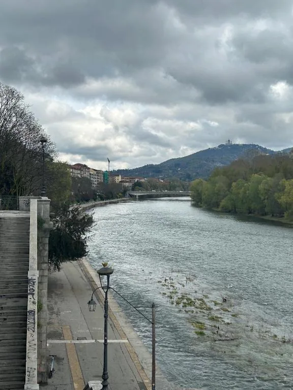 Sakura Via Napione — foto 5