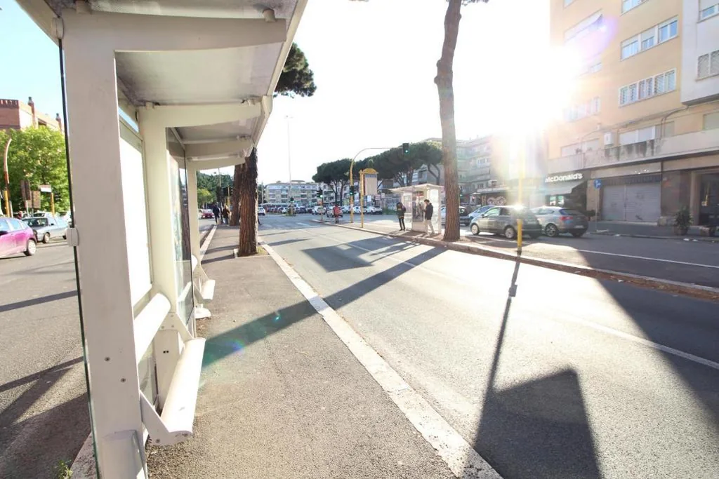 Star of Rome — foto 5