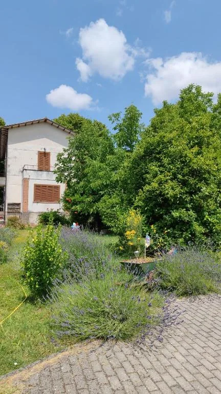 Stella Polare B&B — foto 6