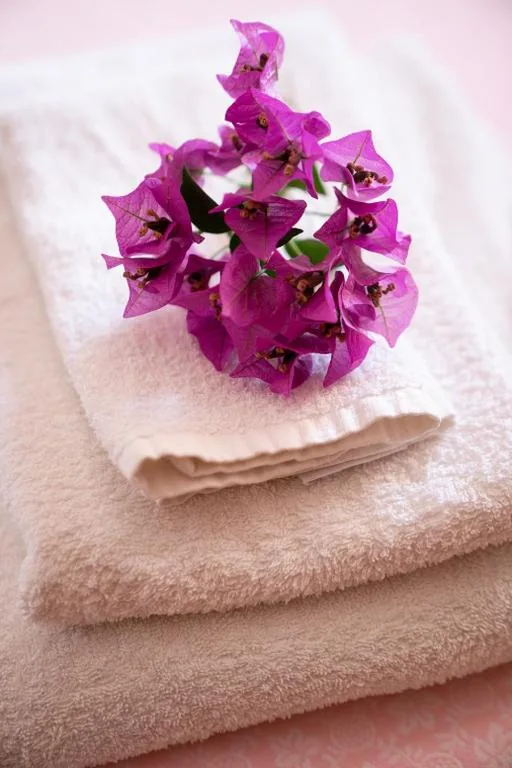 Suite con Terrazza — Hotel Vittoria