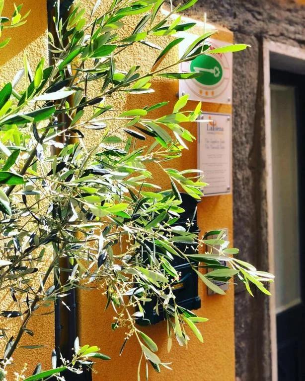 Suite con Vista Mare — La Polena Camere Vernazza – Suite vista mare