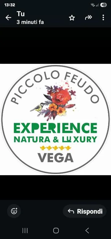 Suite Deluxe con Vasca Idromassaggio — Piccolo Feudo Green Resort