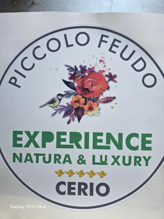 Suite King con Vasca Idromassaggio — Piccolo Feudo Green Resort