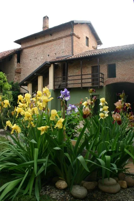 Suite — Studio Sforzesco