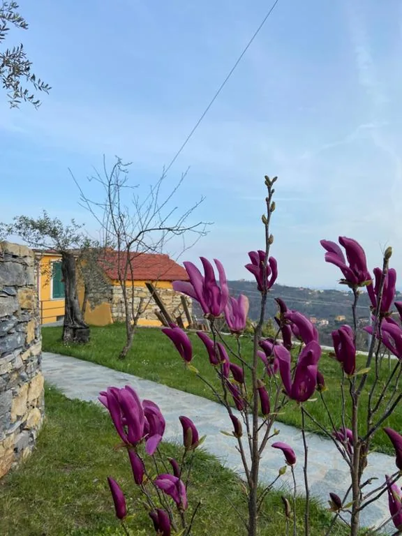 Sunrise Holiday Home — foto 5