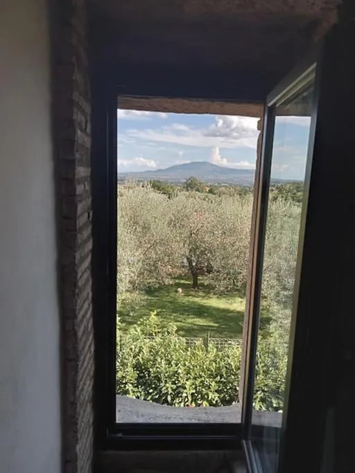 Tana dello sciamano — foto 5