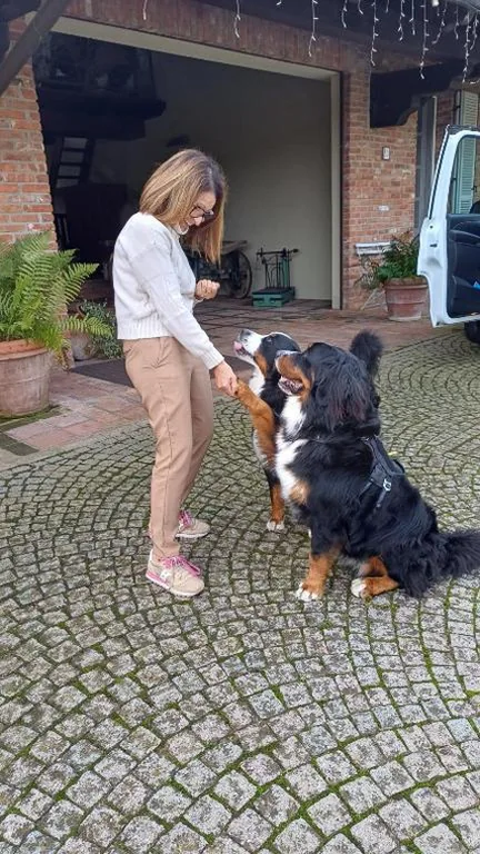 Tenuta degli Angeli Rossi — foto 7