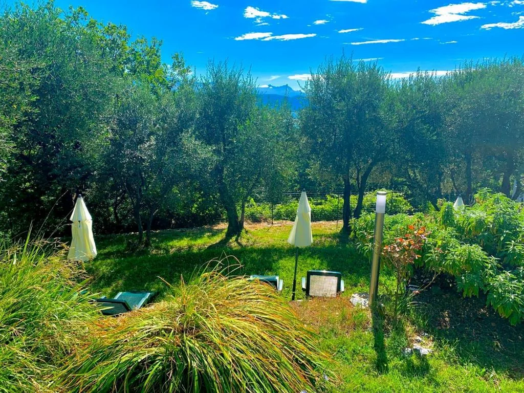 Tenuta di Venere — foto 5