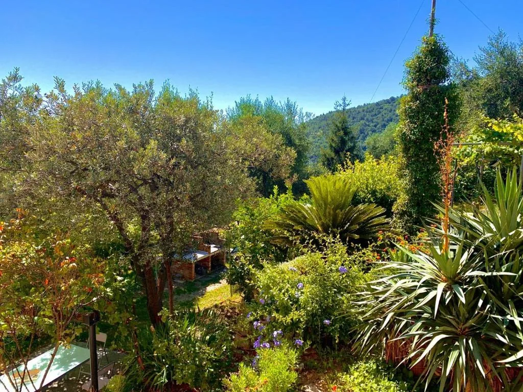 Tenuta di Venere — foto 6