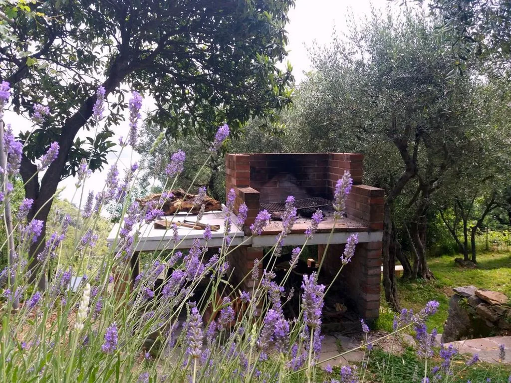 Tenuta di Venere — foto 7