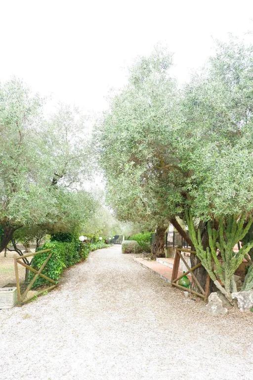 Tenuta Maison Angelina — foto 6