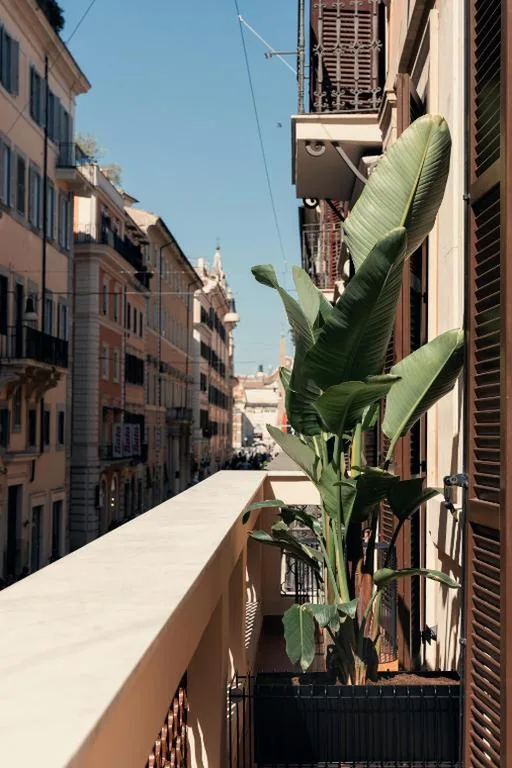 The Flow – Via Del Corso