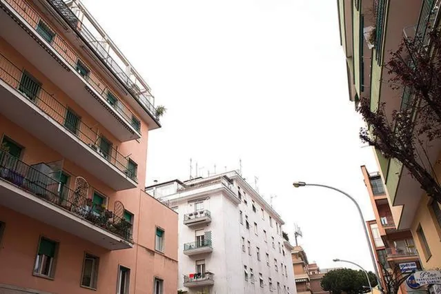 The Green Corner — foto 6