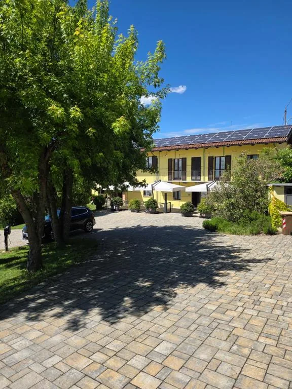 The Green Guest House — foto 6