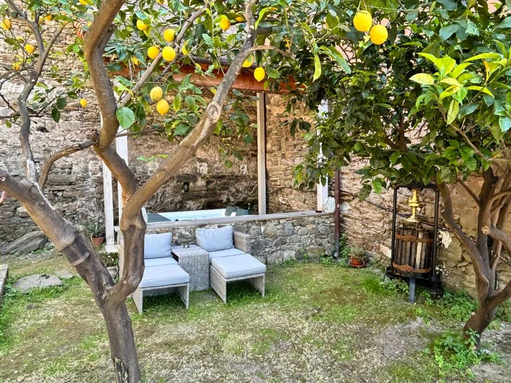 The Orange Garden — foto 4