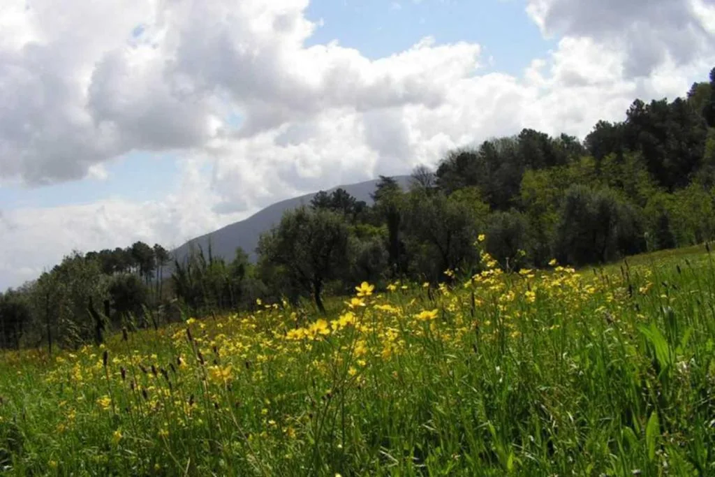 a casa di antonio — foto 6