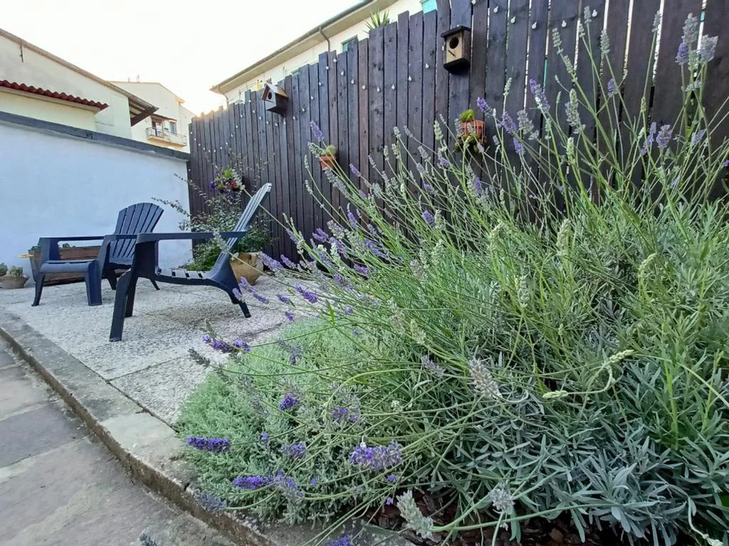 Aela Home — foto 5