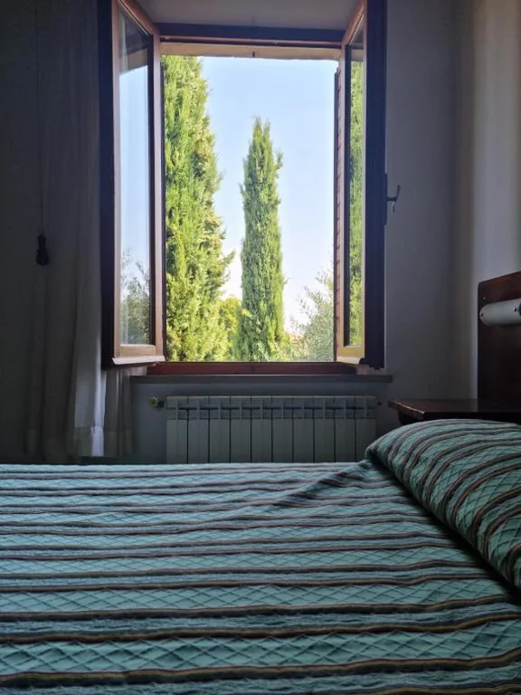 Affittacamere Dal Falco — foto 8