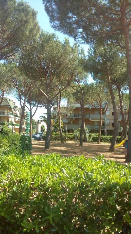 Affittacamere Il Conte — foto 4