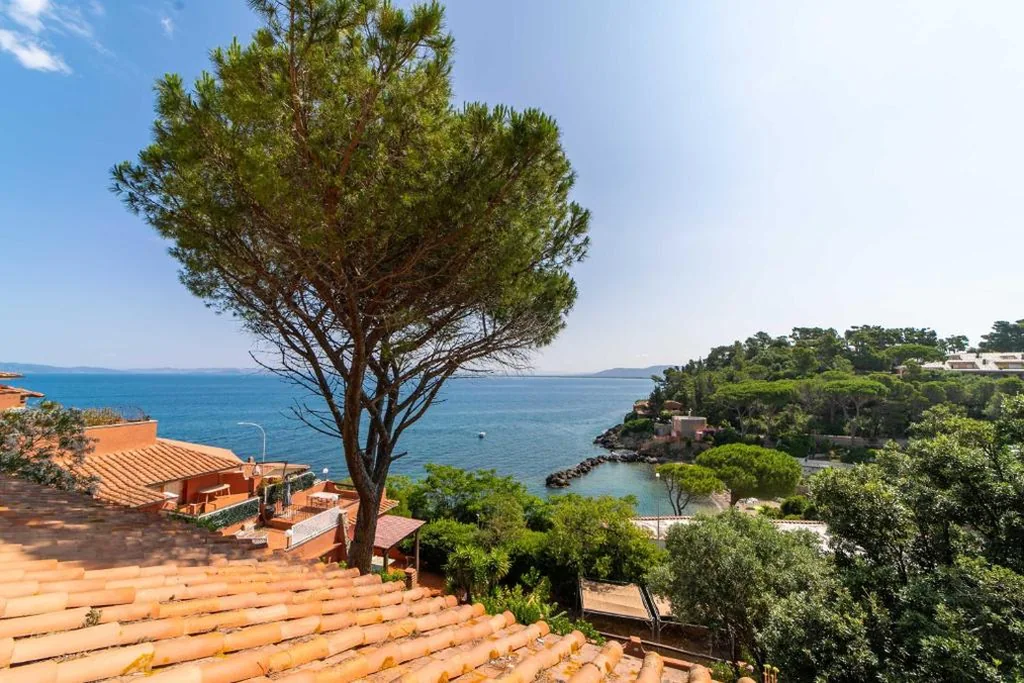 Affitti Brevi Toscana – La Terrazza sul Mare — foto 6