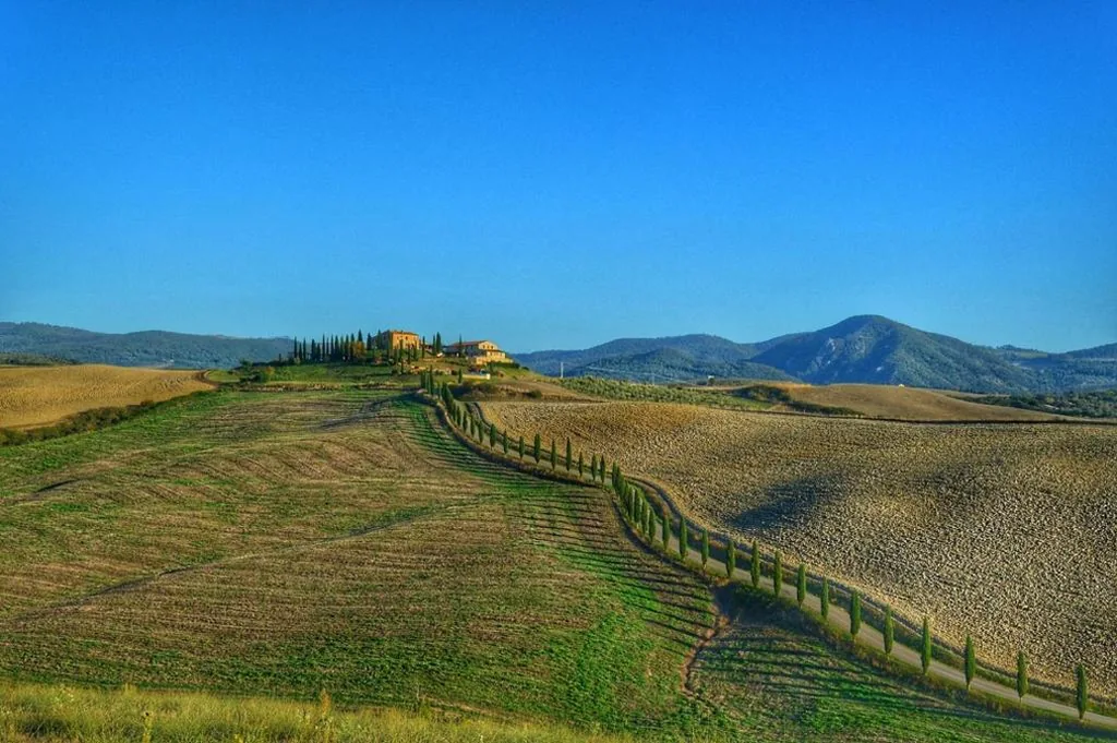 Agrihotel Il Palagetto — foto 7