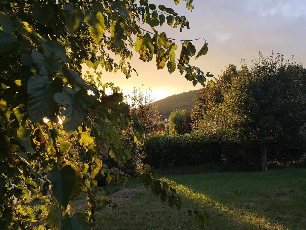 Alba Morus Bed & Breakfast, sentiti a casa nel cuore della Toscana — foto 8
