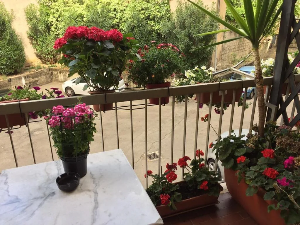 Albergo Cinzia — foto 5
