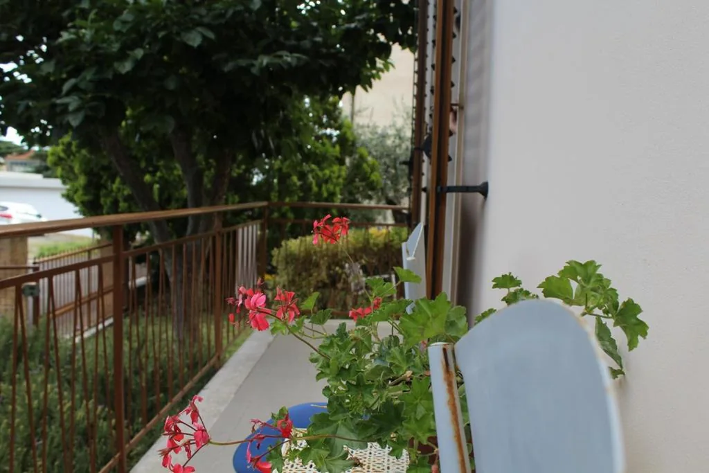 Alle Terme B&B — foto 8