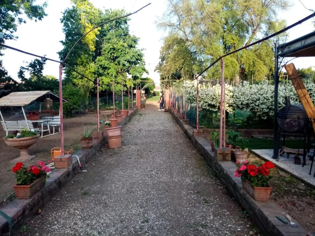 Alle vecchie mura — foto 8