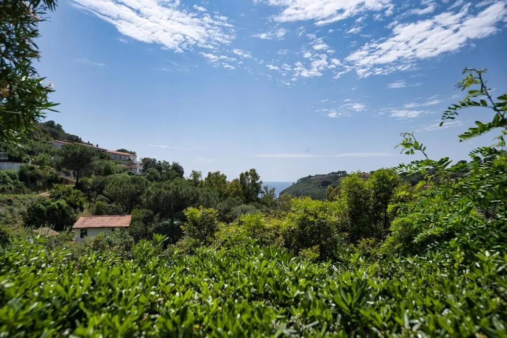 Alloggi del Mirto a Morcone – Goelba — foto 7