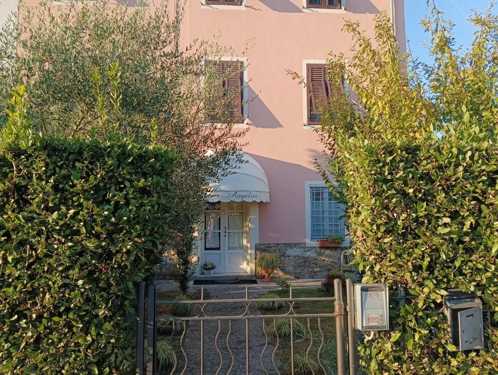 Angelini dal 1911 — foto 7