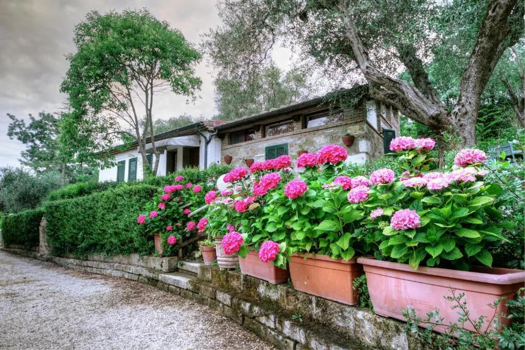 One-Bedroom Apartment — B&B Villa Miramì