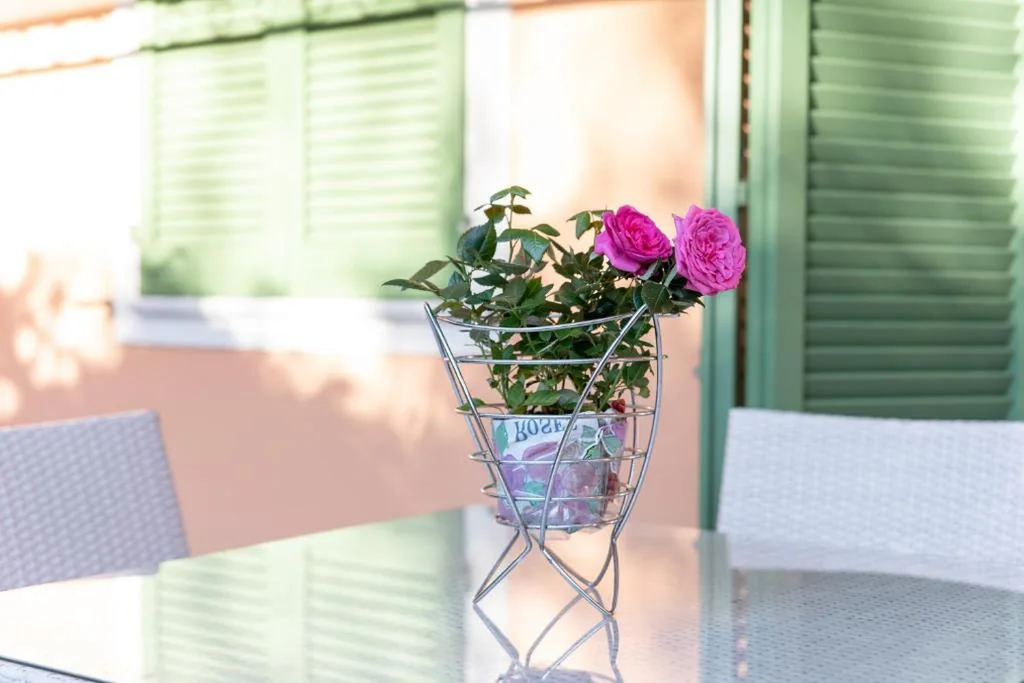 Apartment with Garden View — Rta la Pergola