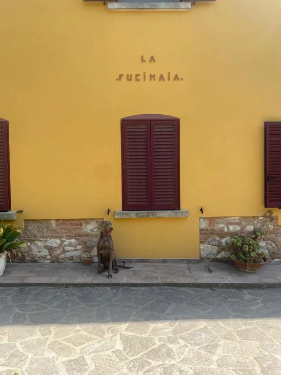 B&B La Fucinaia Pet Friendly — foto 6