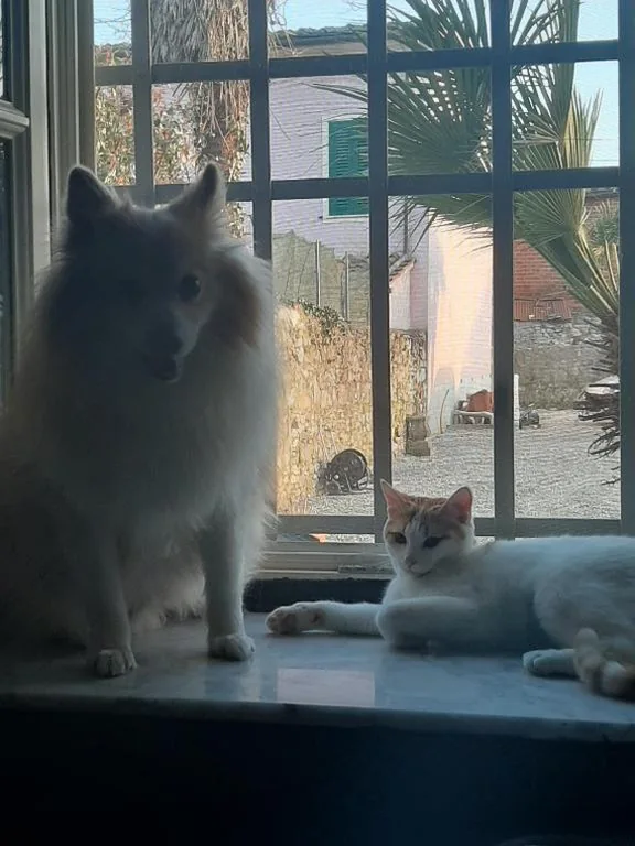 B&B Principe Calaf 3 — foto 5