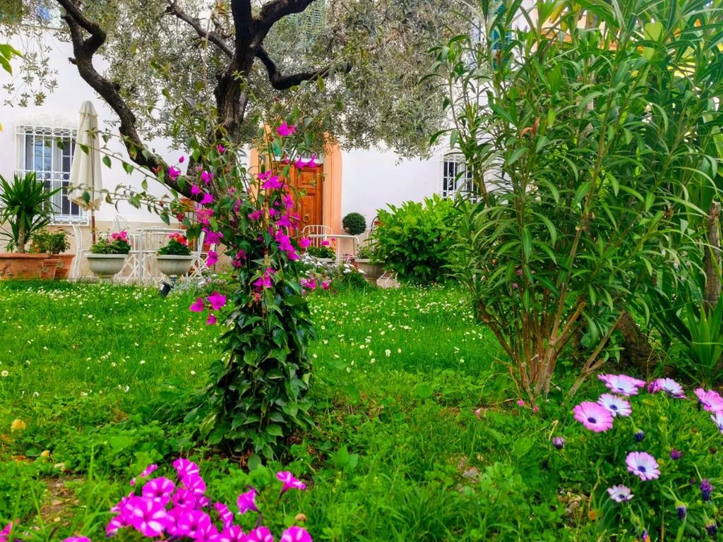 B&B Villa Lula Lucca — foto 6