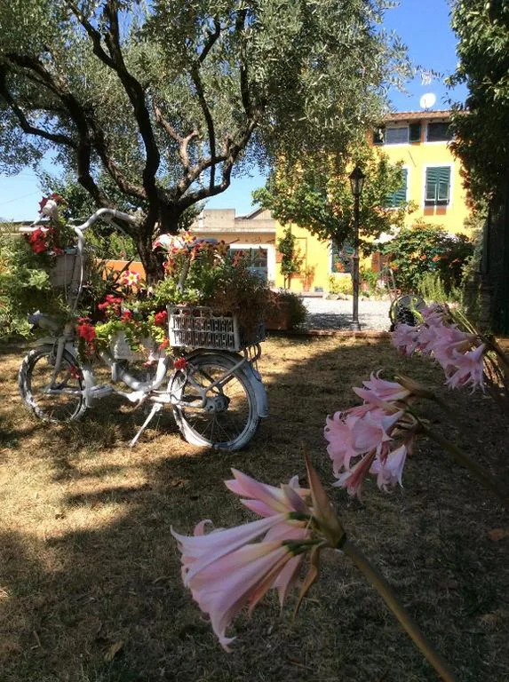 Bed & Breakfast Lucca Fora — foto 6